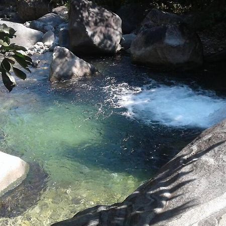 Mi Rincon En La Montana. Villa La Ceiba Exterior foto