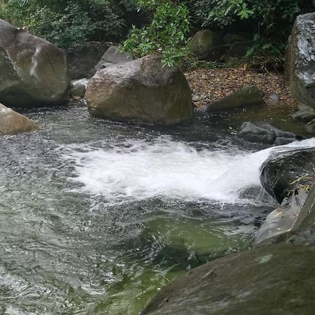 Mi Rincon En La Montana. Villa La Ceiba Exterior foto