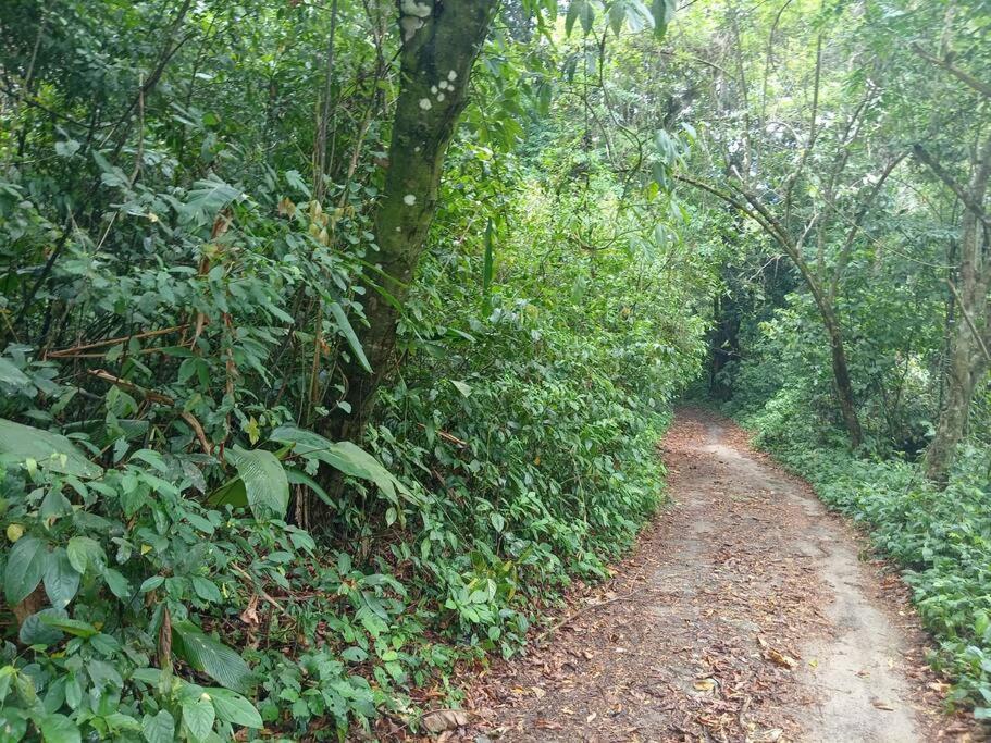 Mi Rincon En La Montana. Villa La Ceiba Exterior foto