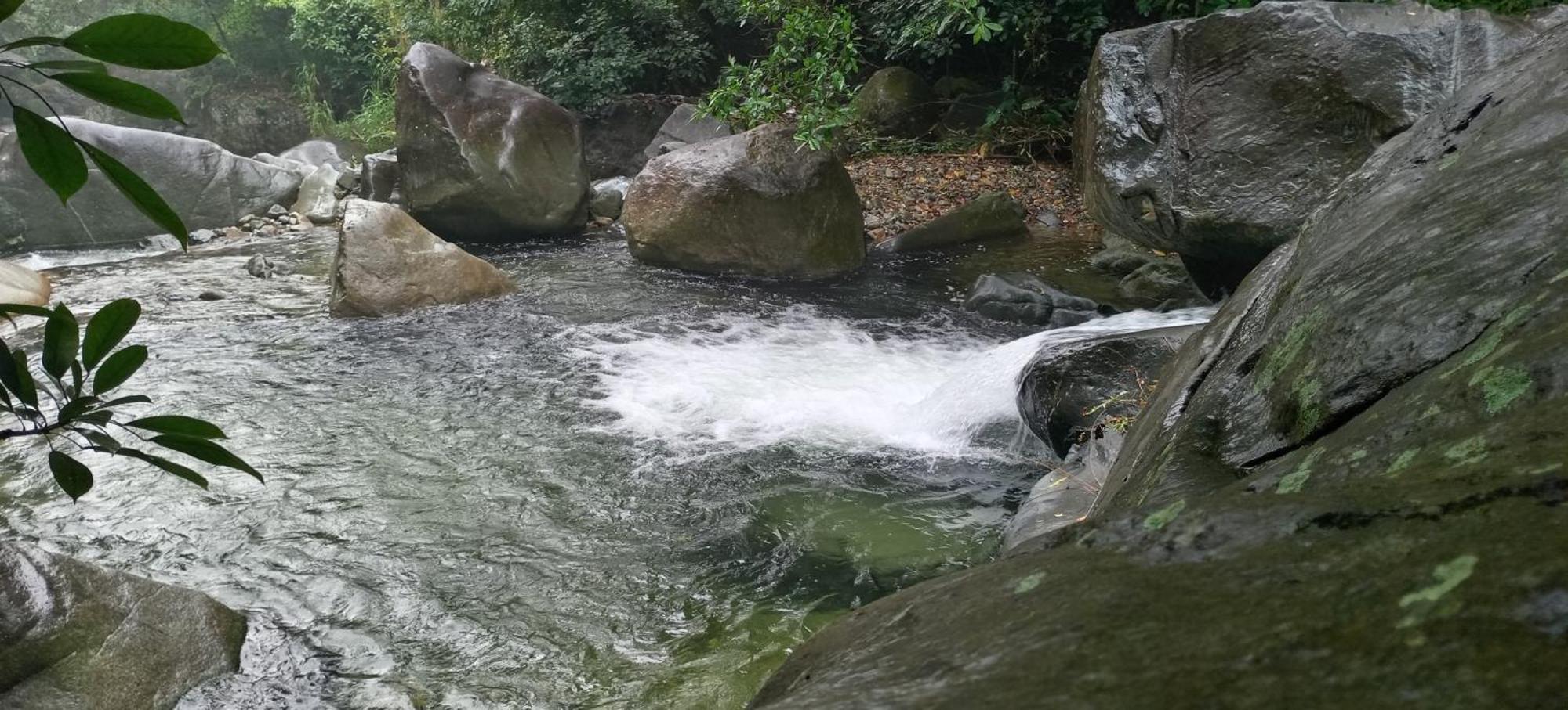 Mi Rincon En La Montana. Villa La Ceiba Exterior foto