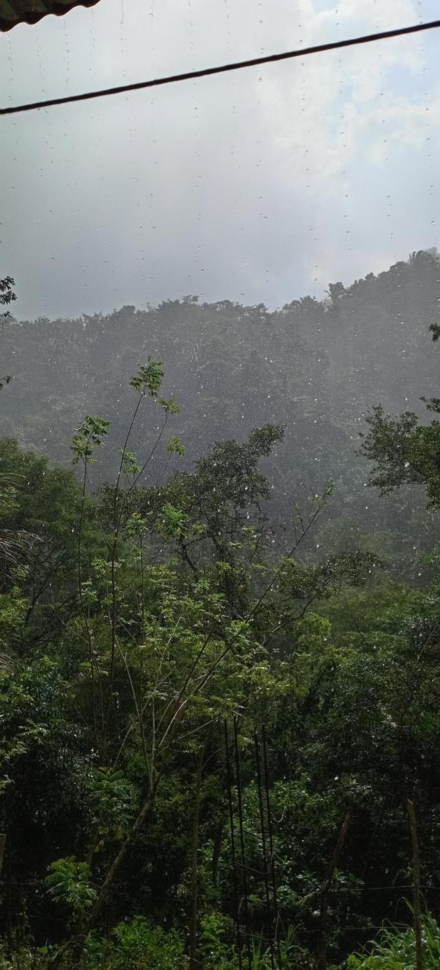 Mi Rincon En La Montana. Villa La Ceiba Habitación foto